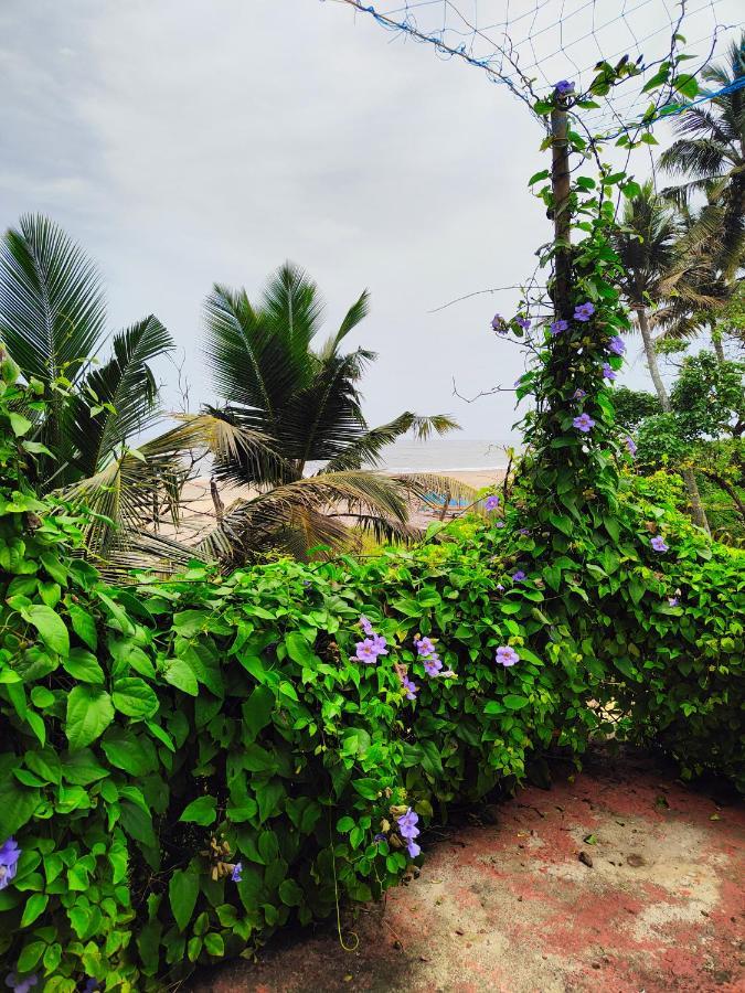 Beachaholic Homestay Alappuzha Exteriér fotografie