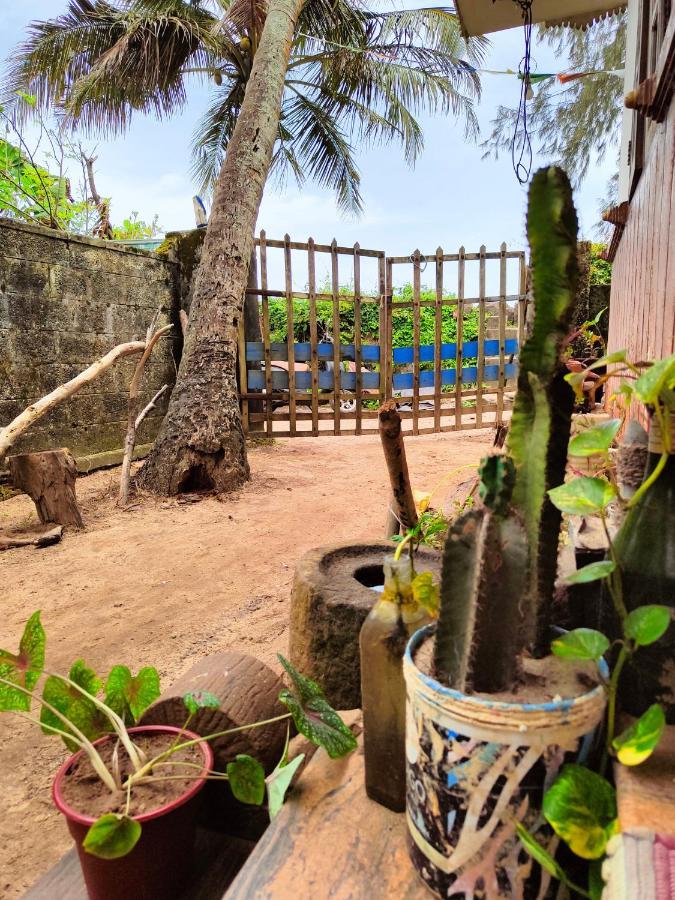 Beachaholic Homestay Alappuzha Exteriér fotografie